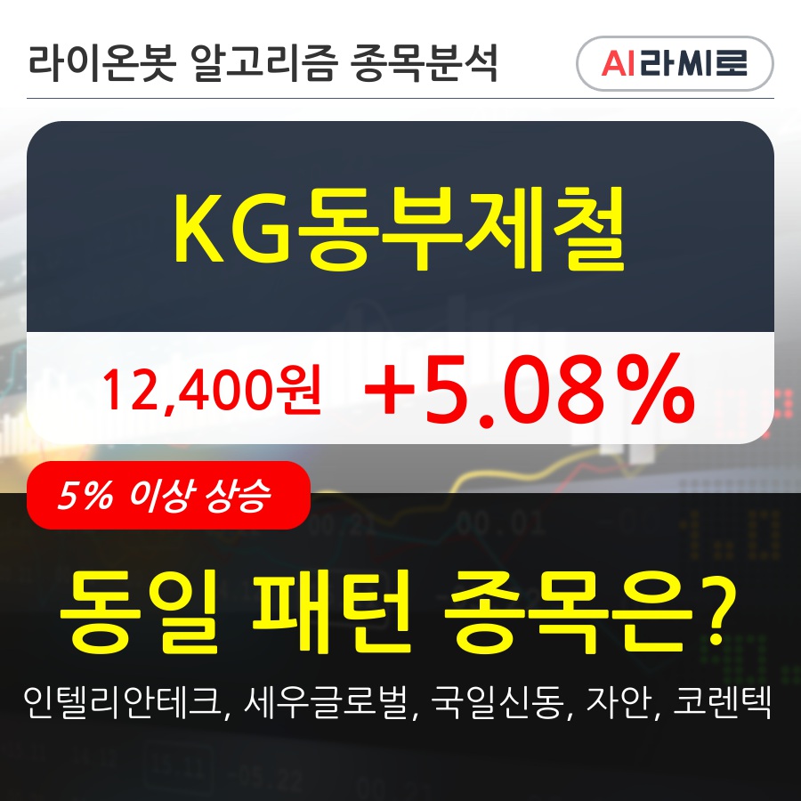 KG동부제철