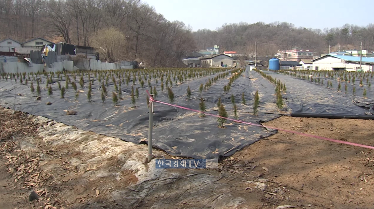 지난 3월 LH 직원들의 땅투기가 적발된 광명시흥지구의 한 토지. 