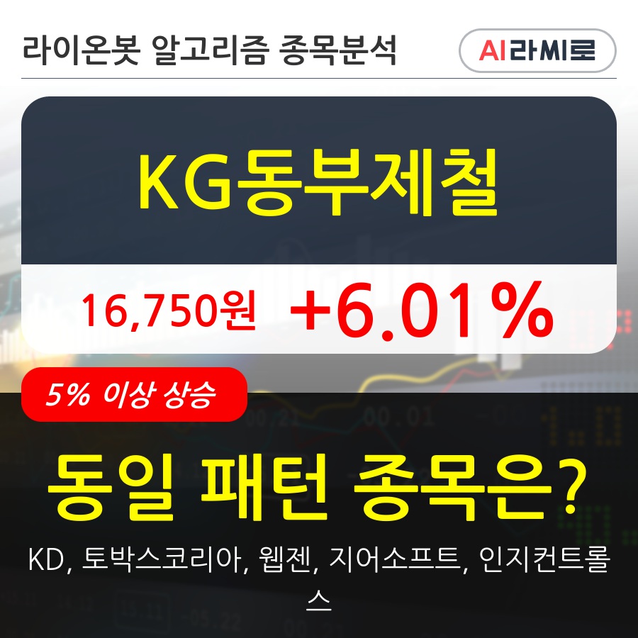 KG동부제철