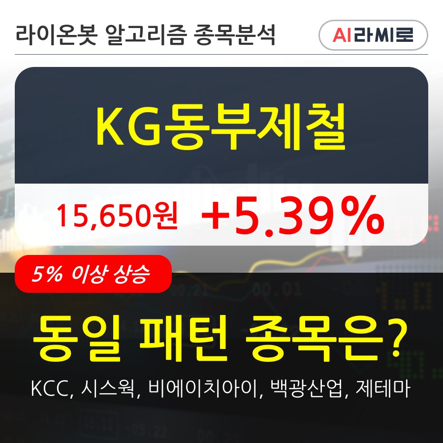 KG동부제철