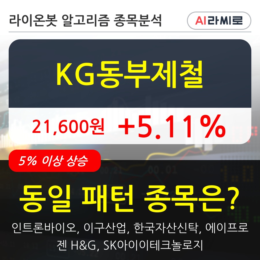 KG동부제철