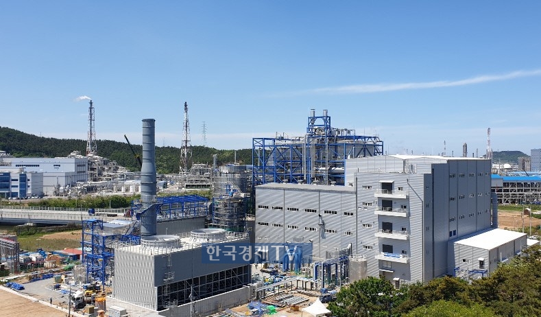 사진설명: 충남 서산시 대산읍에 위치한 ㈜대산파워 바이오매스 에너지 설비. 우드칩을 연소해 연간 24만MW 전력을 생산하고 있다.