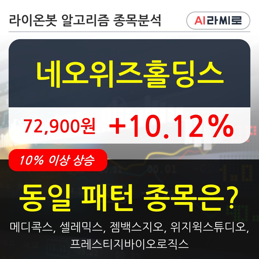 네오위즈홀딩스