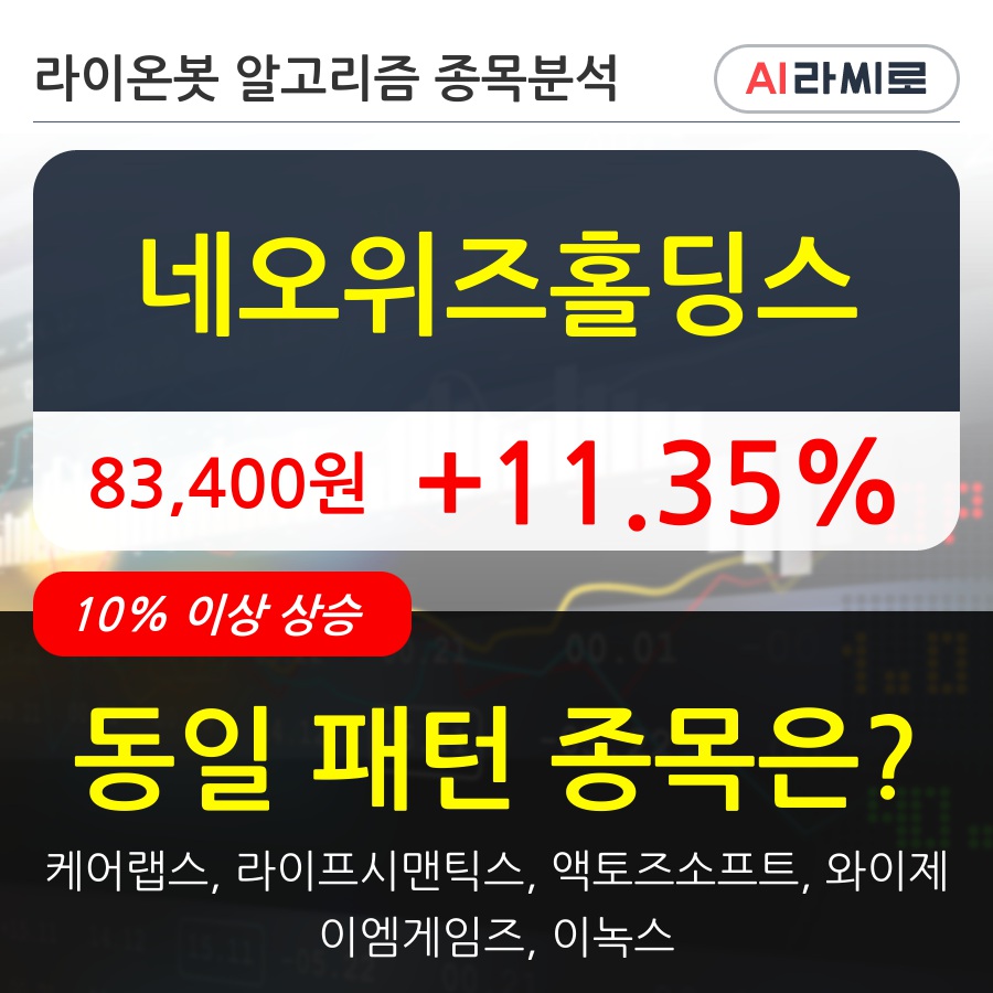 네오위즈홀딩스