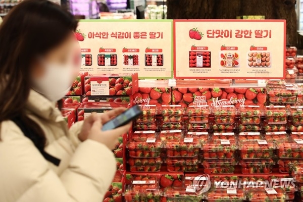 23일 한국은행에 따르면 지난해 12월 딸기 가격이 154% 올랐다. (사진:연합뉴스)