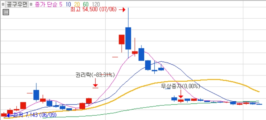 지난 6월 무상증자 발표 후 큰 변동성을 보였던 공구우먼