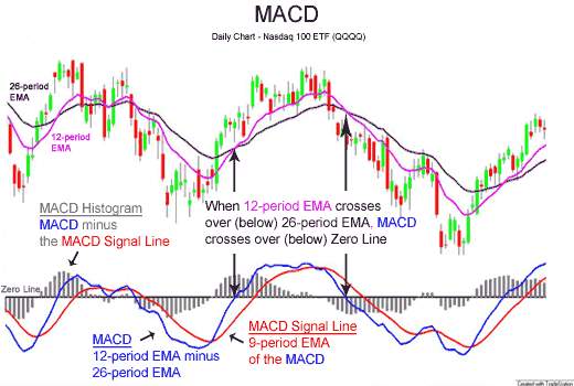 사진: MACD 지수