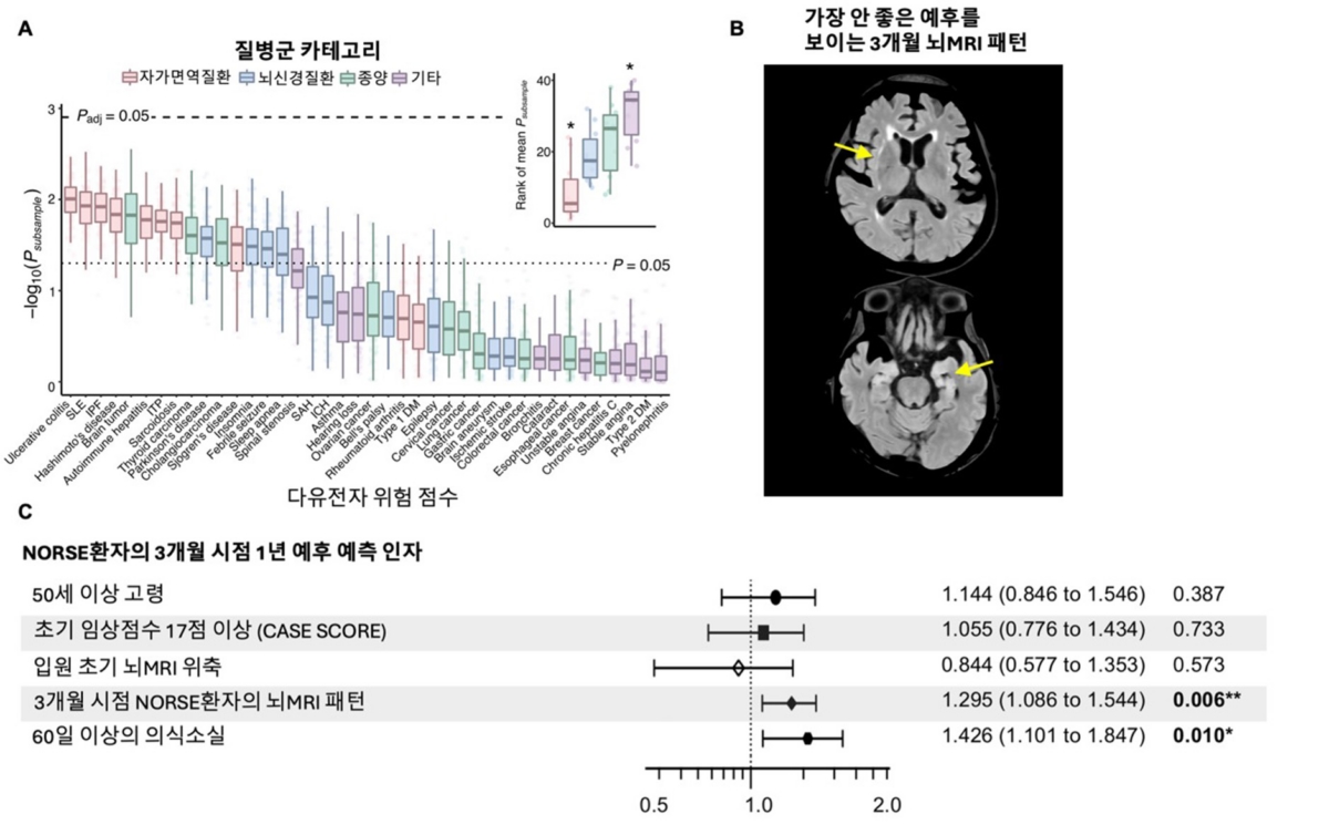 그림 A는 NORSE의 다유전자 위험 점수가 자가면역질환과 가장 유사한 패턴을 보임을 알려준다. B에서는 3개월 시점 NORSE 환자의 뇌 MRI를 통한 예후 예측 지표를 확인할 수 있다. C는 3개월 시점 뇌 MRI 패턴과 60일 이상의 의식 소실 여부가 장기 예후 결정에 중요한 요소로 작용함을 알려준다.