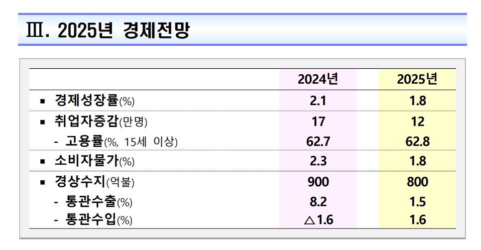 2025년 경제정책방향 (기획재정부) 