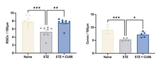 (왼쪽부터) 신경절 세포와 원추 세포에서 투약 결과. (사진=큐라클)