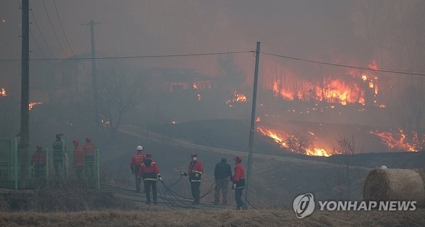 산불 국민성금 1328억원세월호 참사 넘었다