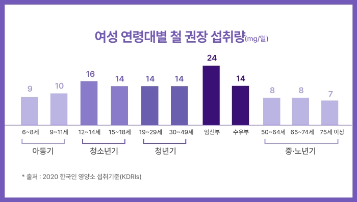 여성 생애 주기별 철분 관리의 필요성 몸이 보내는 신호에 주목해야