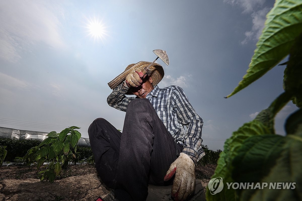 사건과 관계 없는 사진